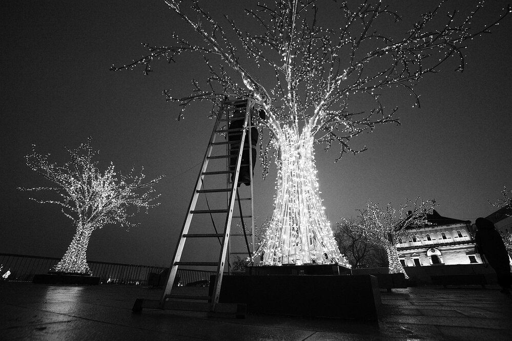 Photograph by Дмитрий Ткаченко