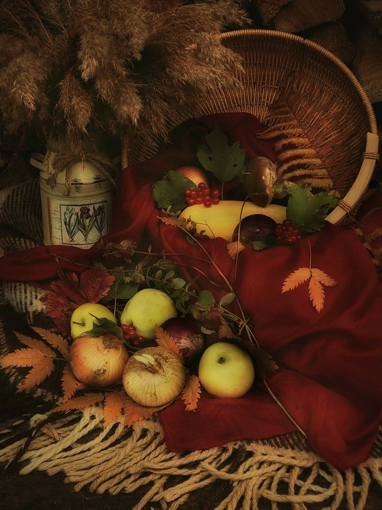 Photograph by Елена