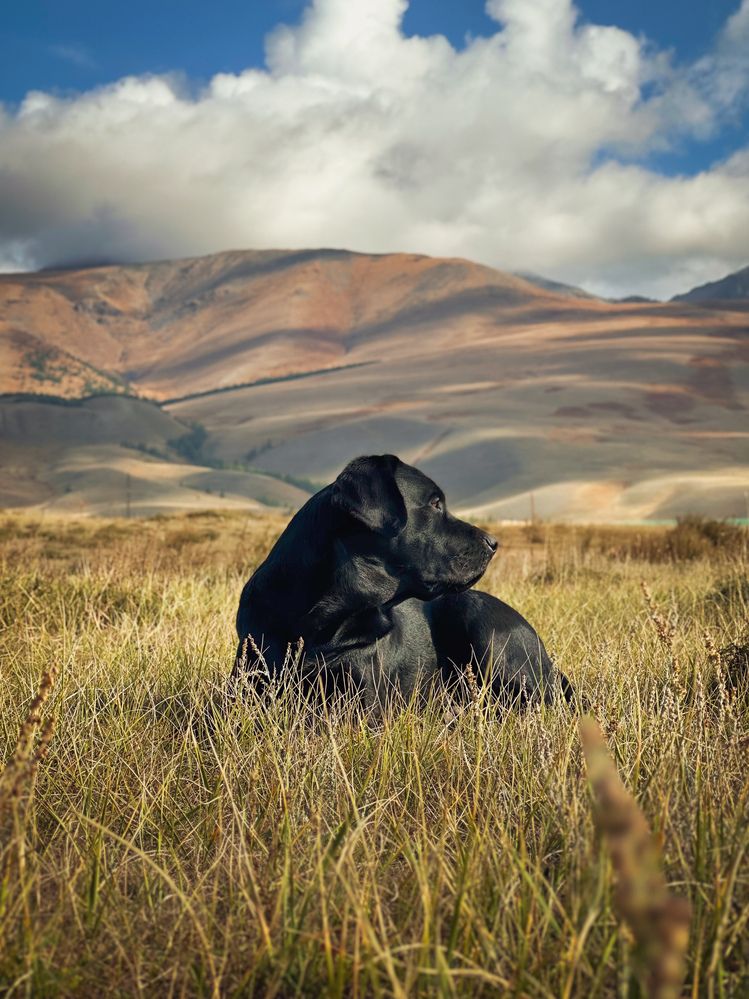 Photograph by Татьяна Бондаренко