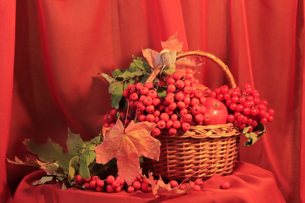 Photograph by Светлана Соколова