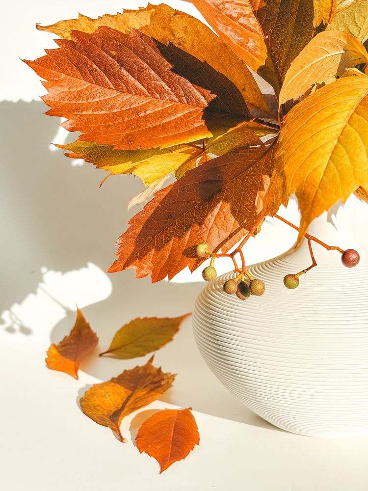 Photograph by Елена Михалева