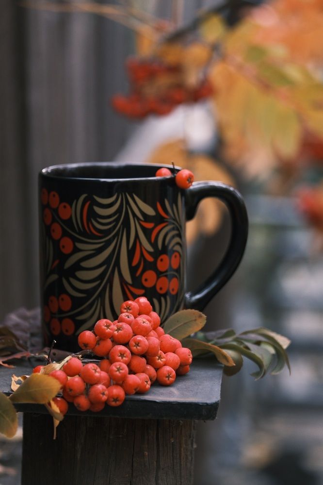 Photograph by Яна Истоцкая