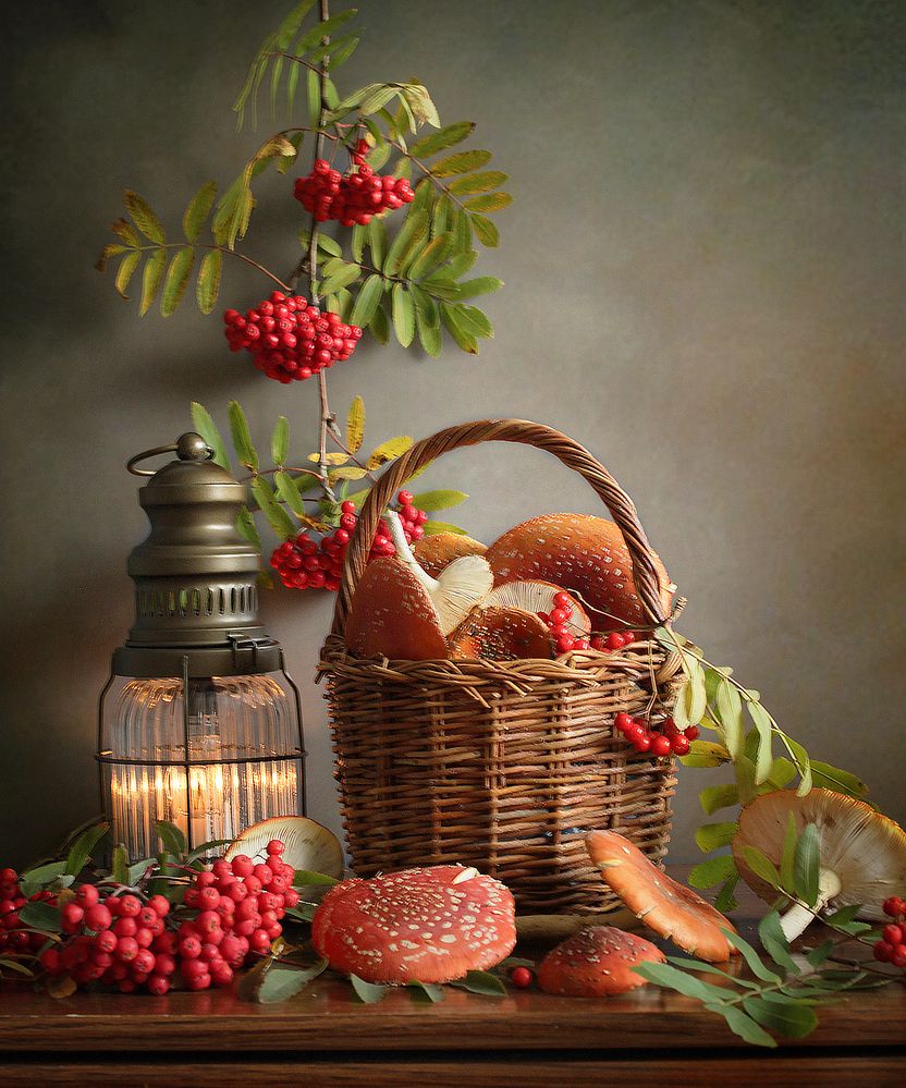 Photograph by Татьяна Долженкова