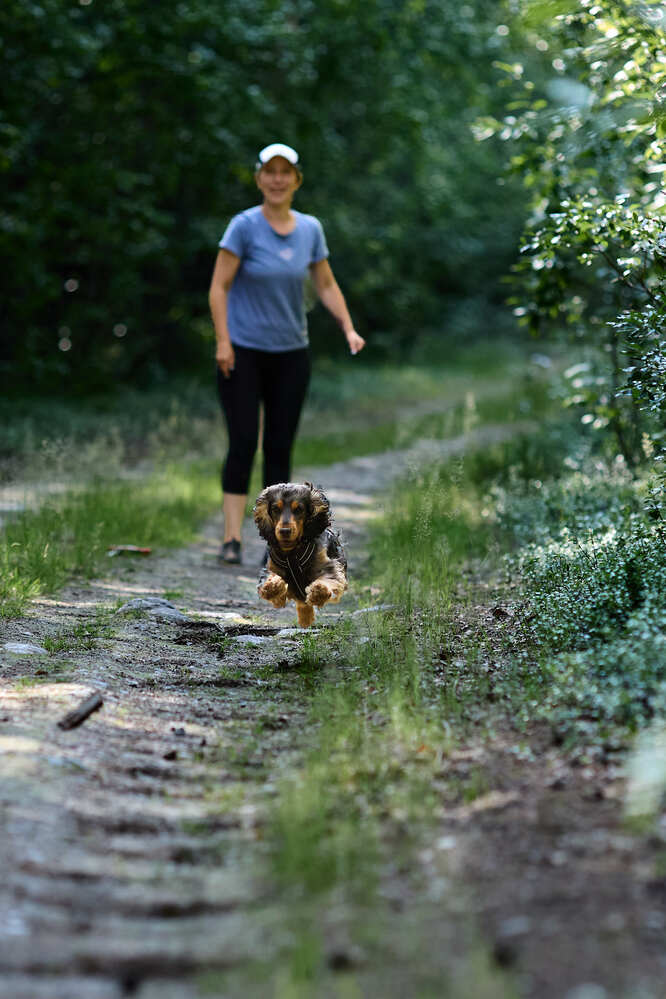 Photograph by TOTORO