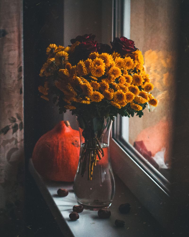 Photograph by Алина Стемковская