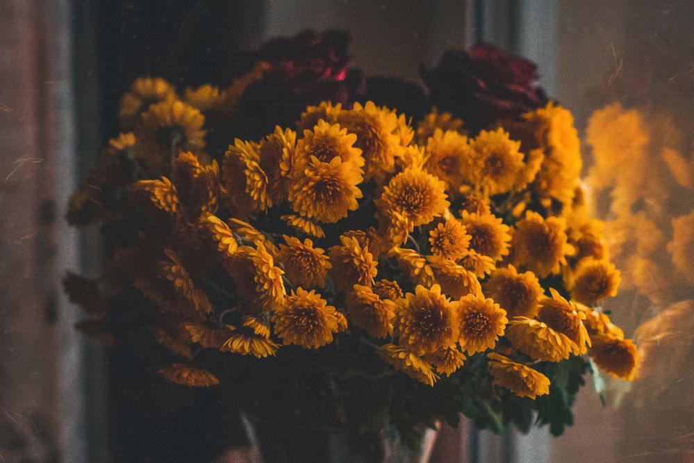 Photograph by Алина Стемковская