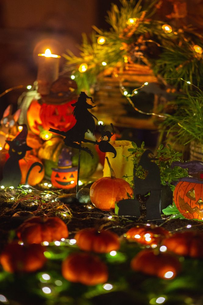 Фотография автора Тамара Нижельская