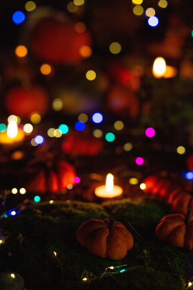 Фотография автора Тамара Нижельская