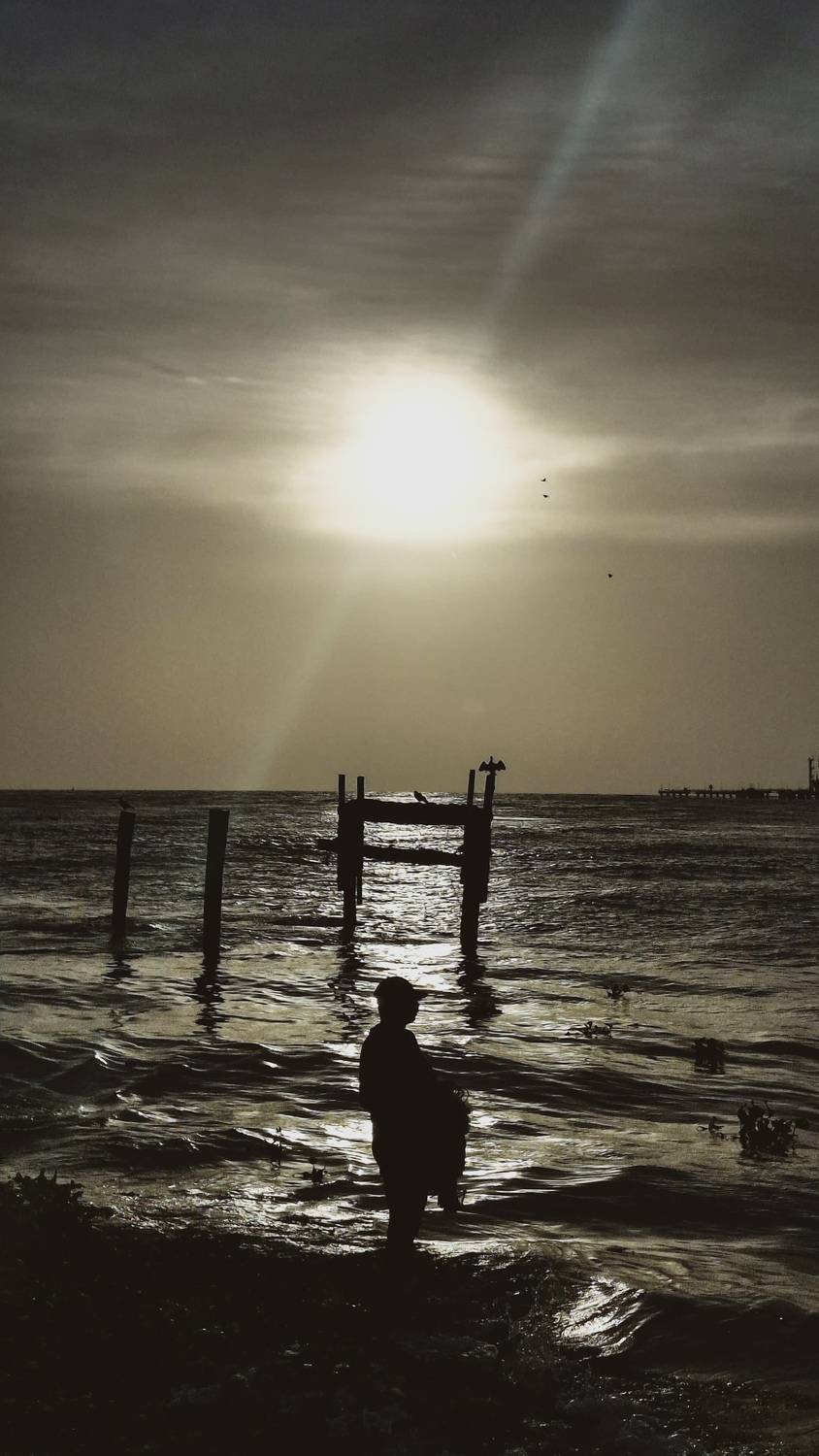 Photo #12683814