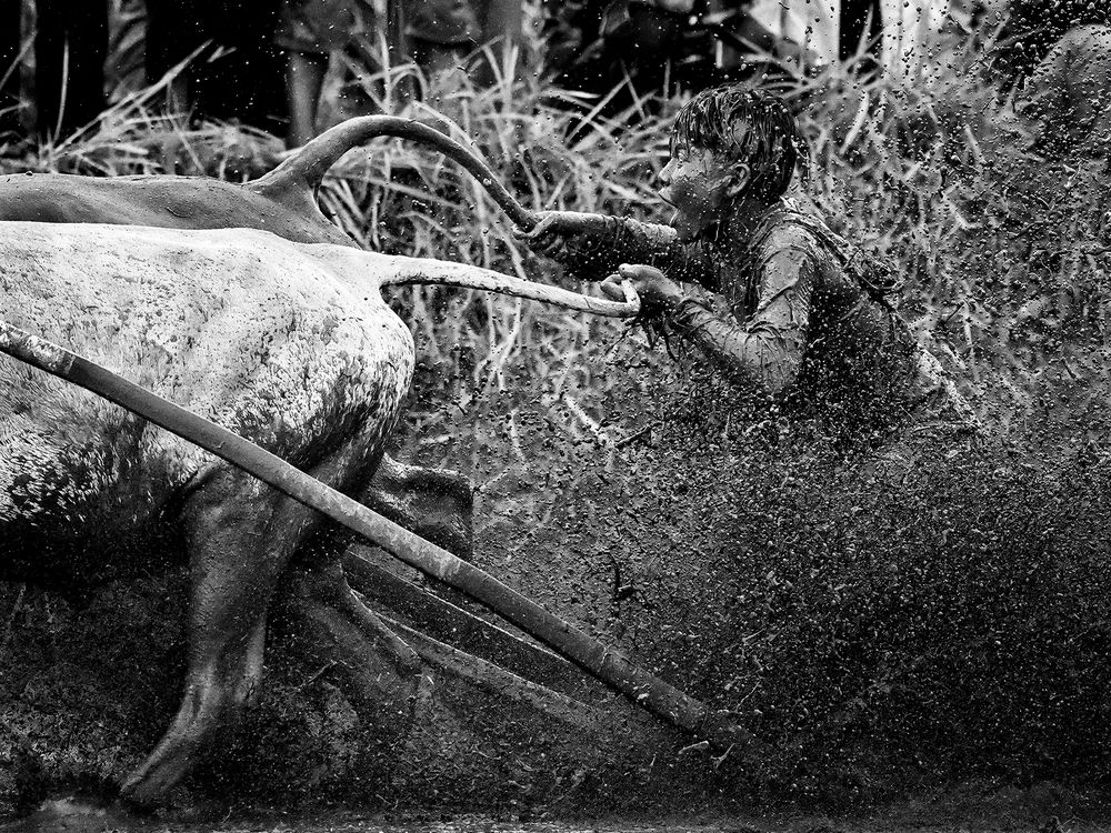 Photograph by Jurica Galic