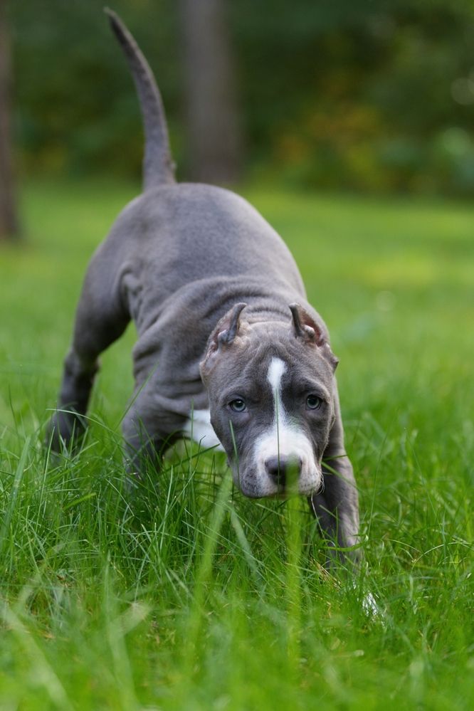 Фотография автора Егор Иванов