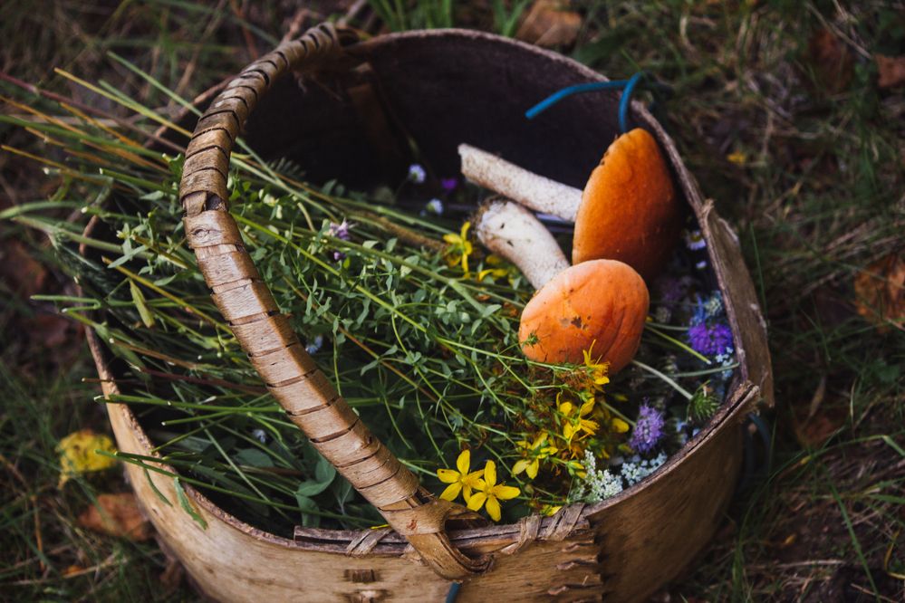 Photograph by Мария Грин (Сычёва)