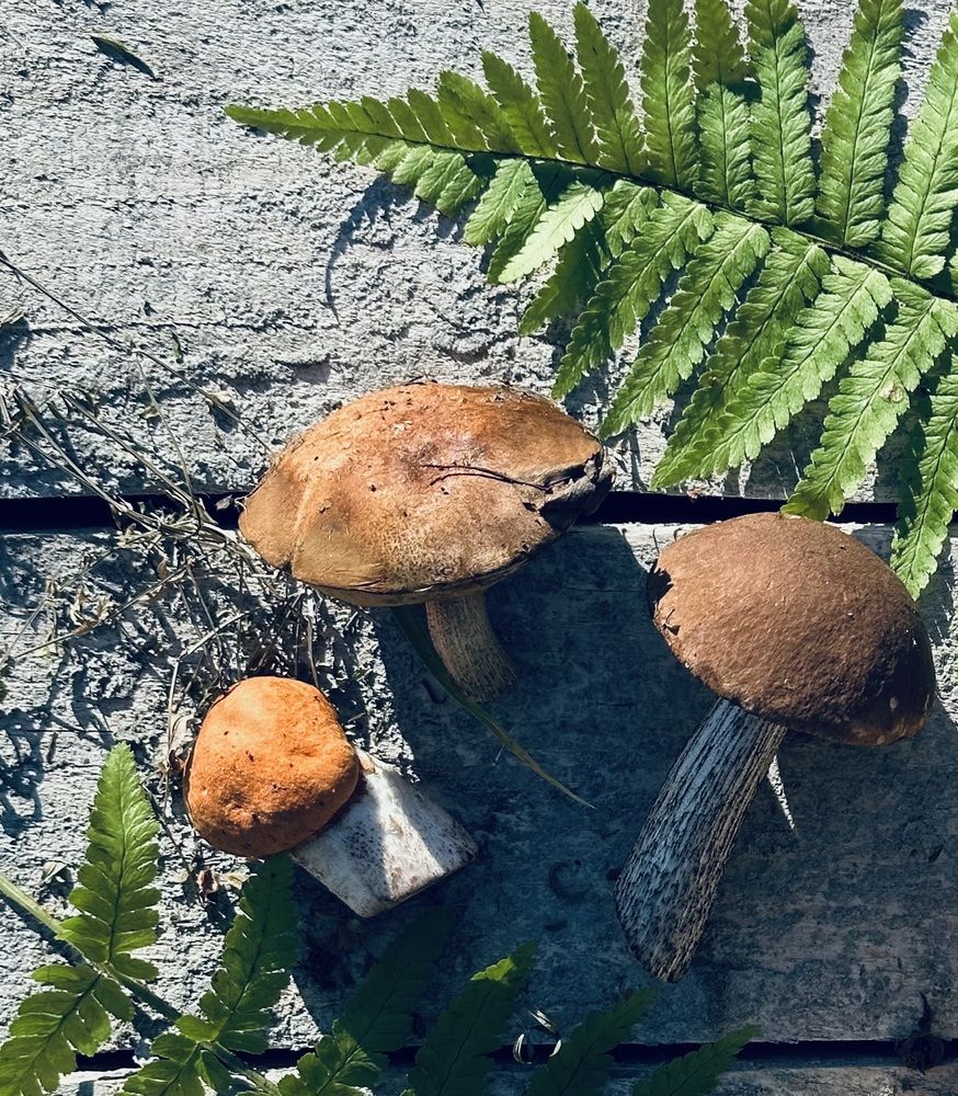 Photograph by Ксения Гулькова