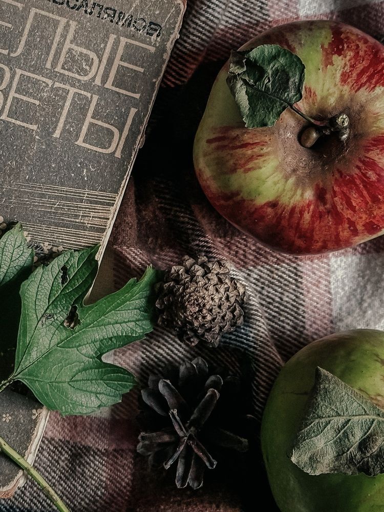 Photograph by Ксения Гулькова