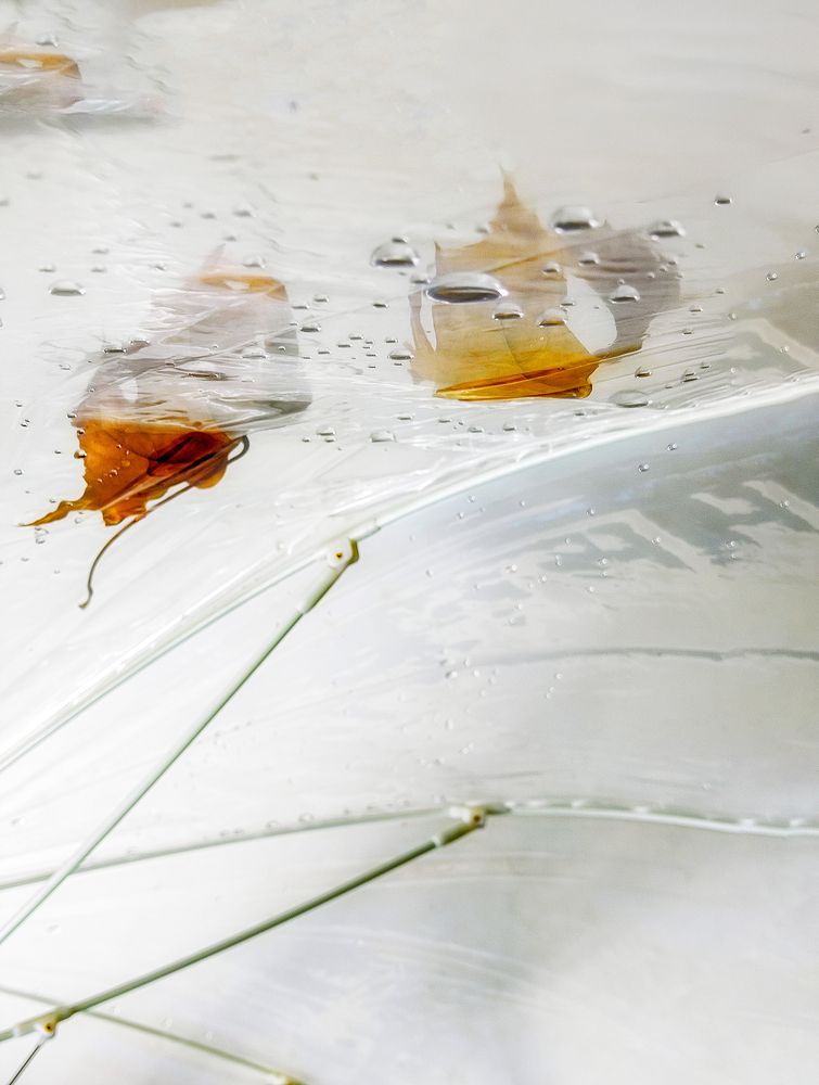 Photograph by Margarita