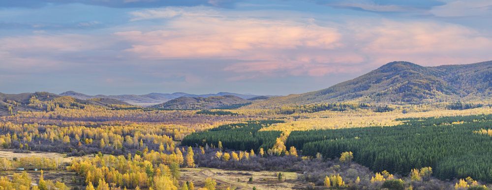 Photograph by Валерий Шорохов