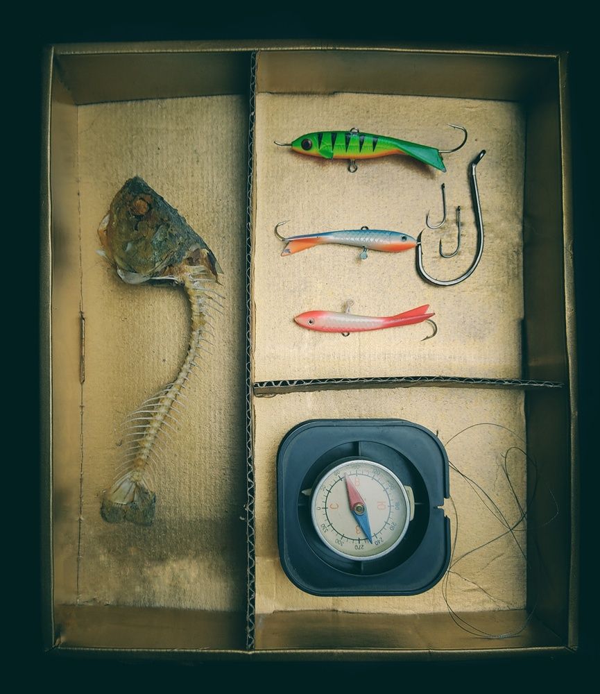 Photograph by Margarita