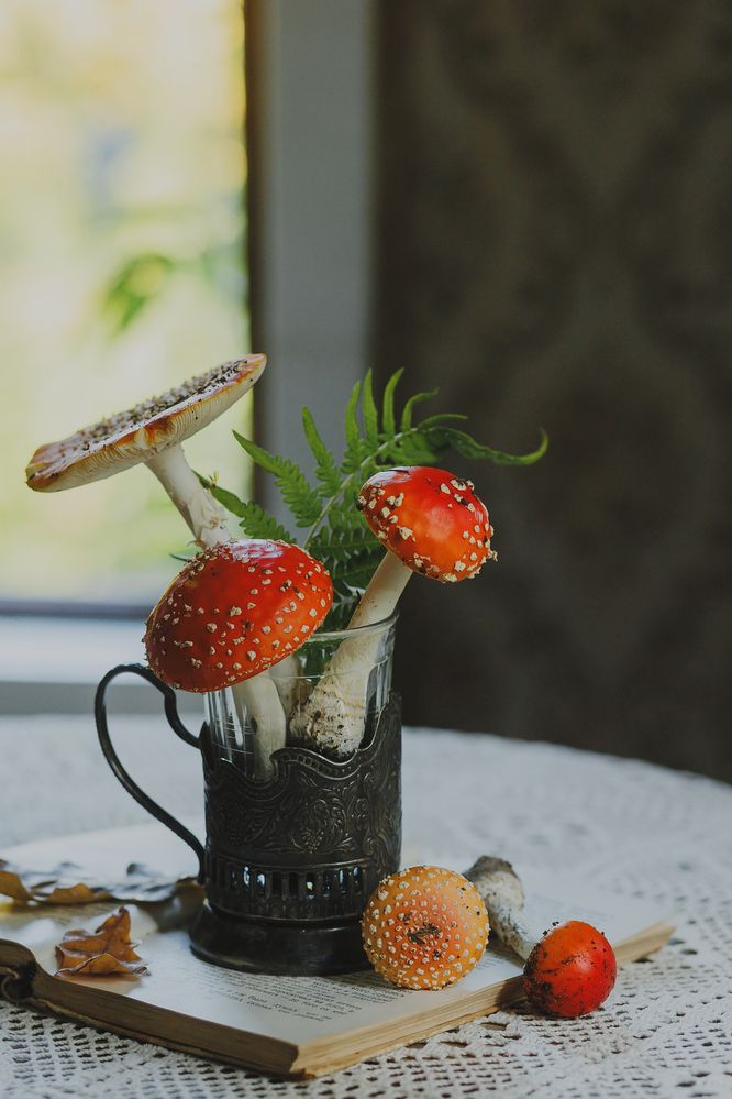 Photograph by Анна Ушакова