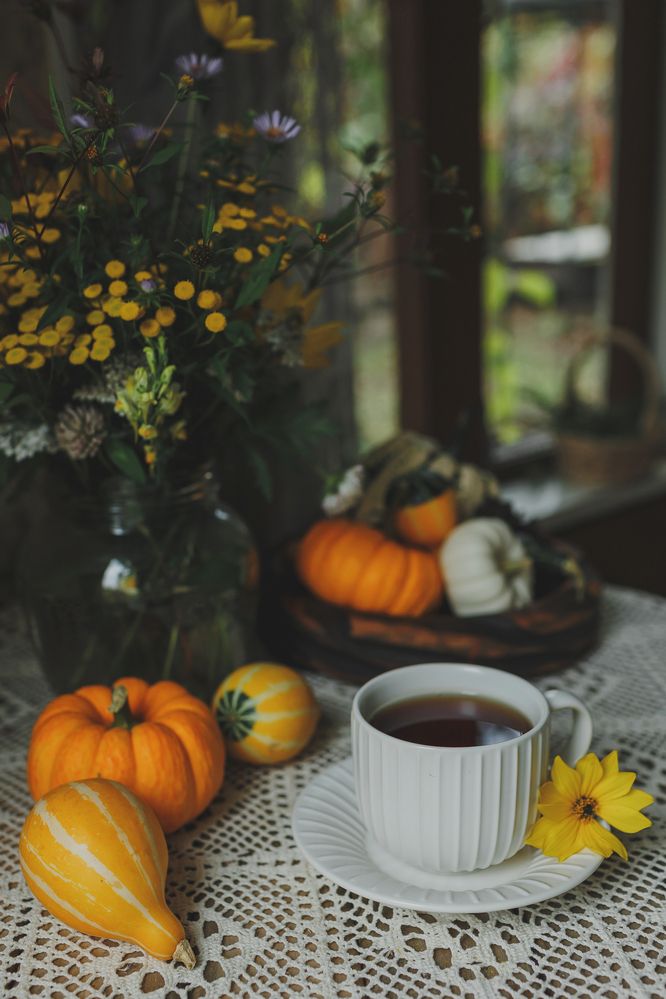 Photograph by Анна Ушакова