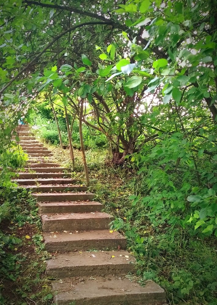 Photograph by Любовь Иванова