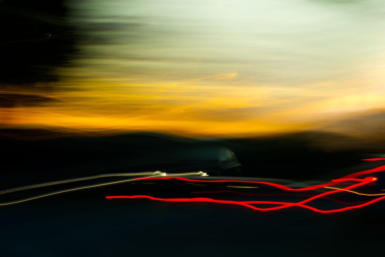 Photo #12684247