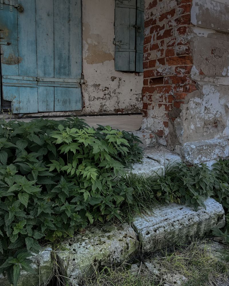 Photograph by Наталья Балабанова