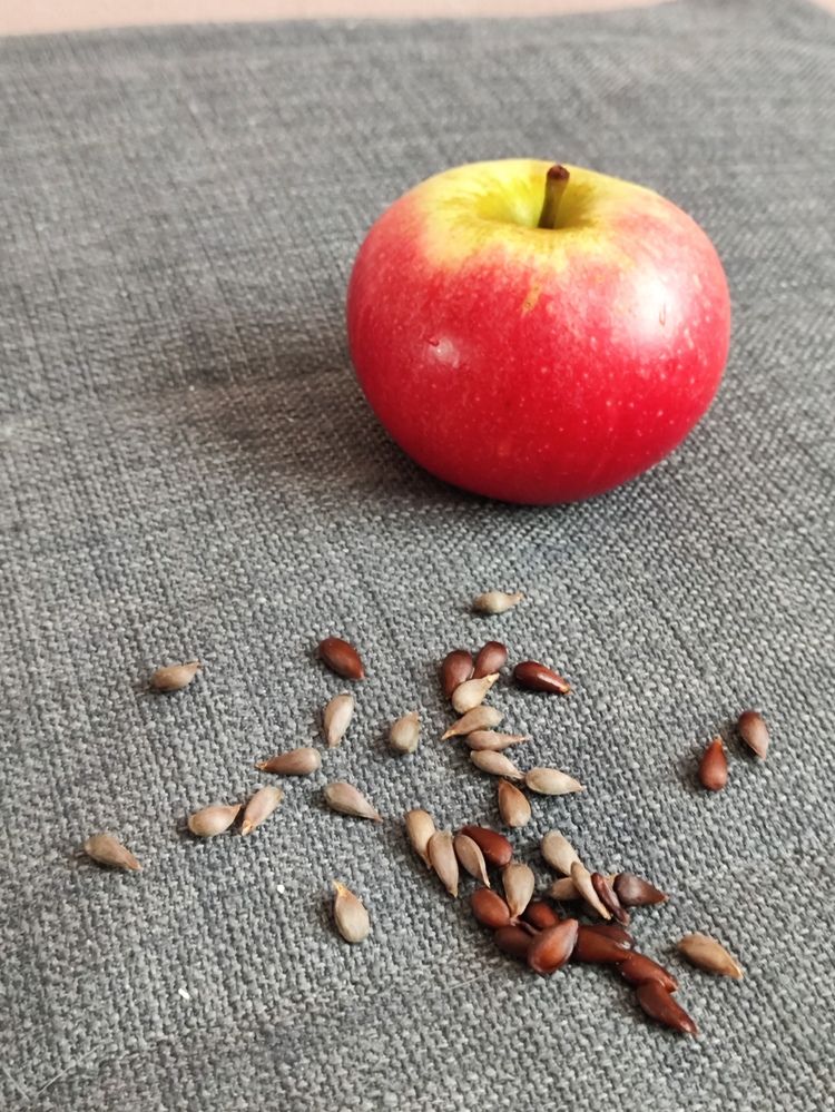 Photograph by Татьяна Пьянзина