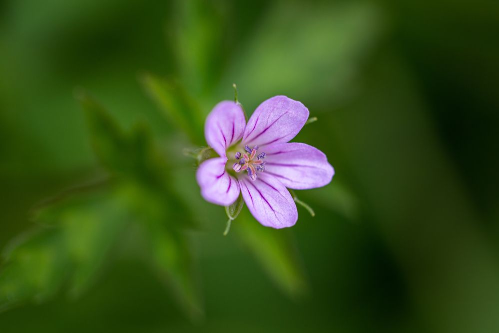 Photograph by Denis Phominov