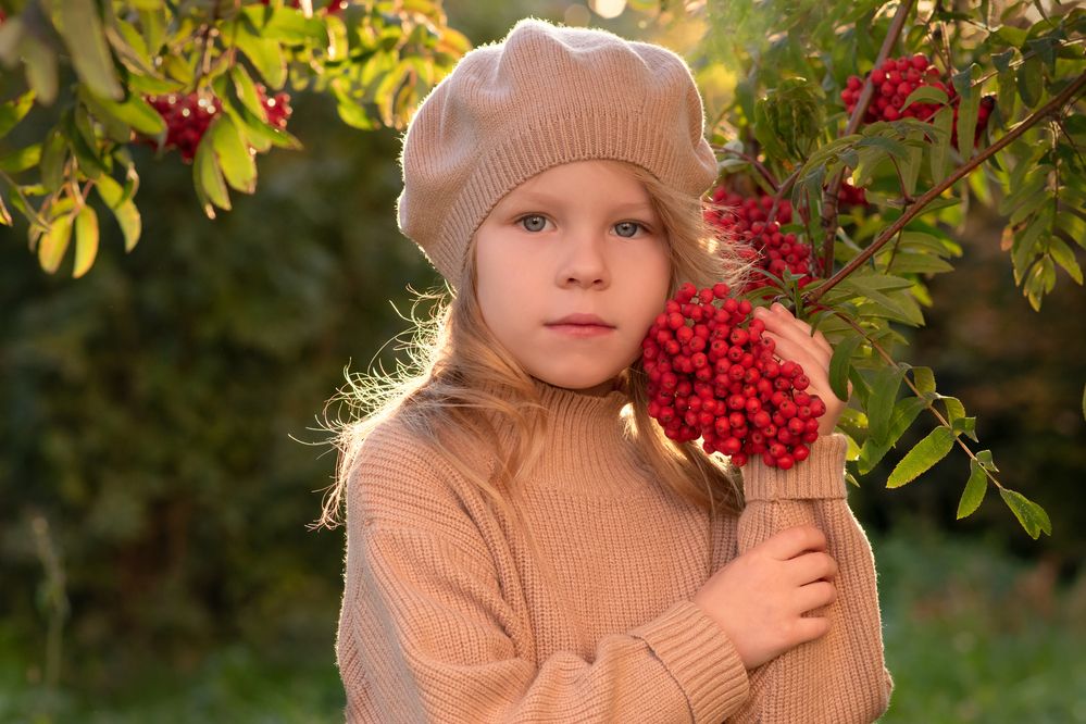 Рябина красная