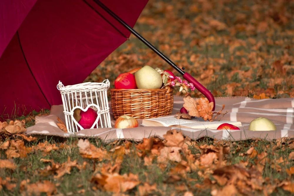 Photograph by Jelena Antonova