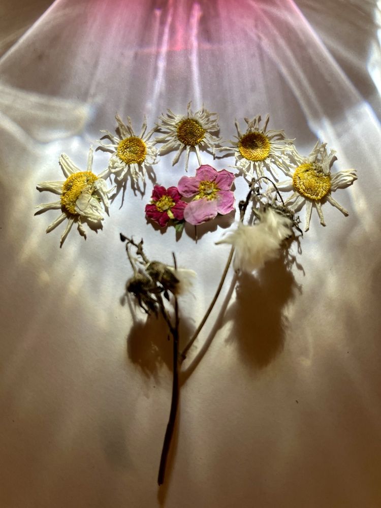 Фотография автора Регина Левикина