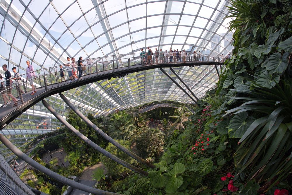 Фотография автора Юрий Кольцов