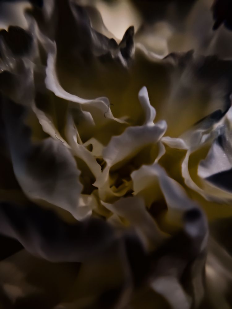 Photograph by Павел Синицын