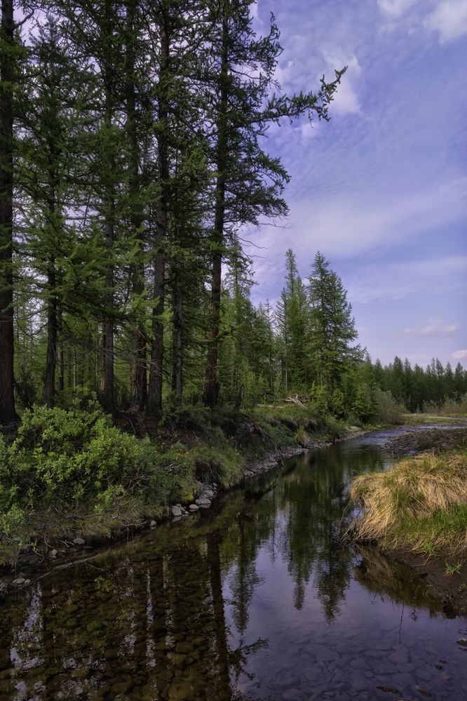 Photograph by Ирина Ульянова