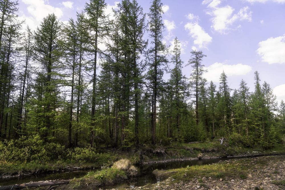 Photograph by Ирина Ульянова