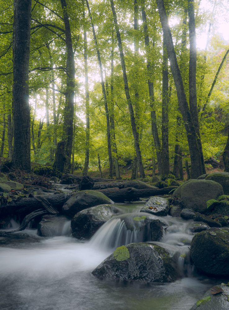 The Silk River of Tizghabane