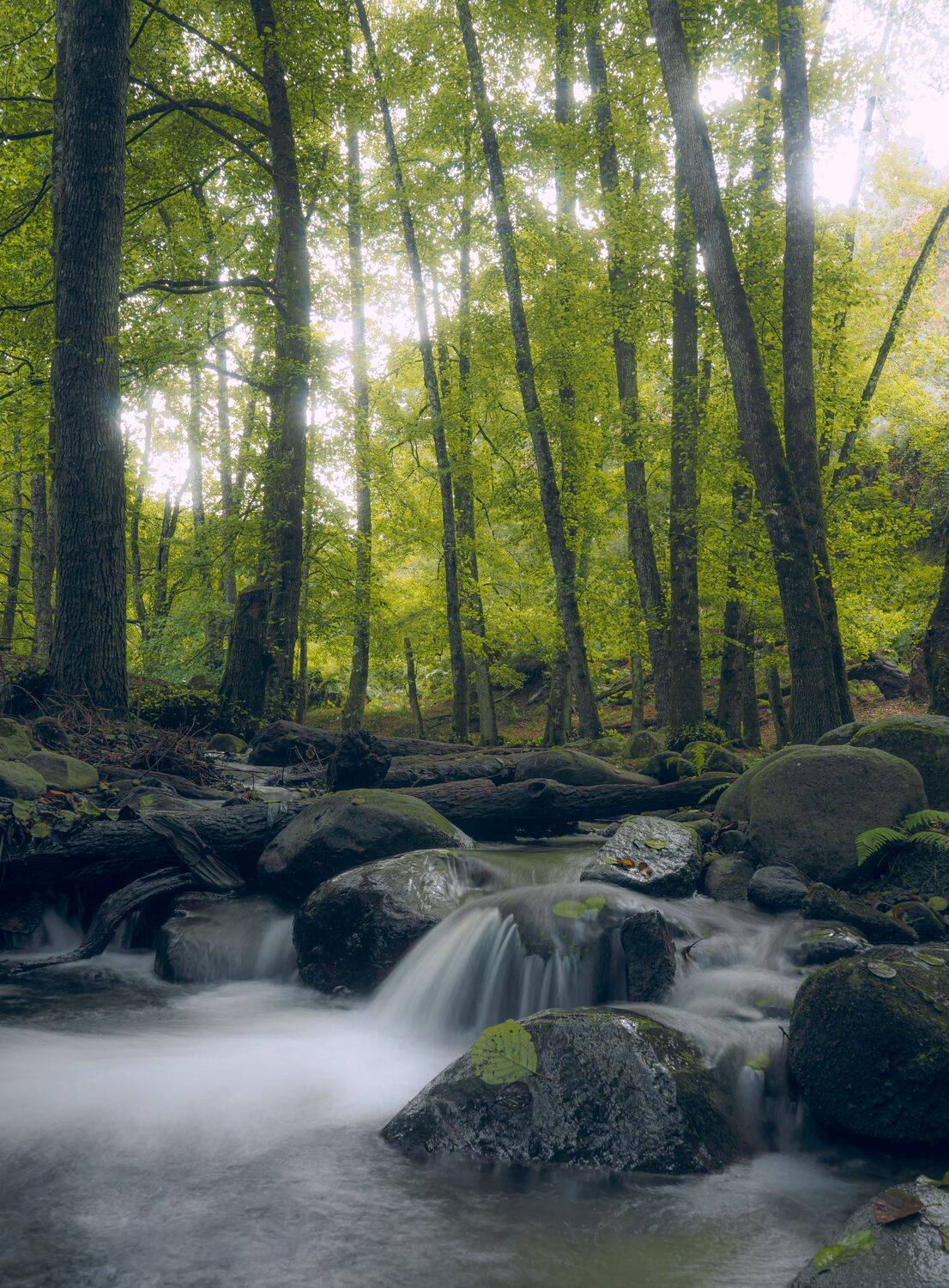 The Silk River of Tizghabane