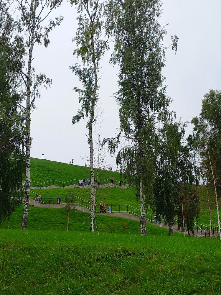 Photograph by Людмила Сотникова