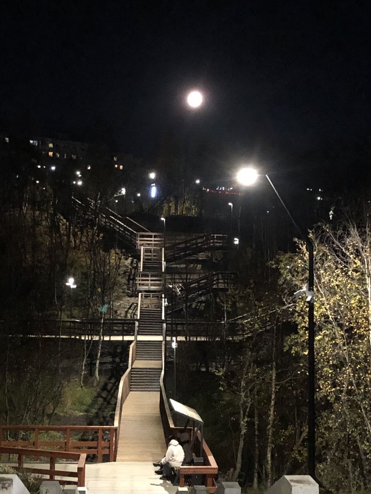 Фотография автора Светлана Терехова