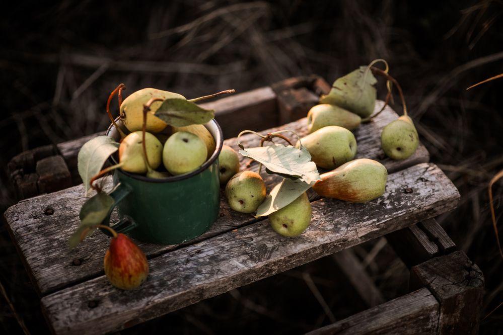 Photograph by Юлианна Митрофанова