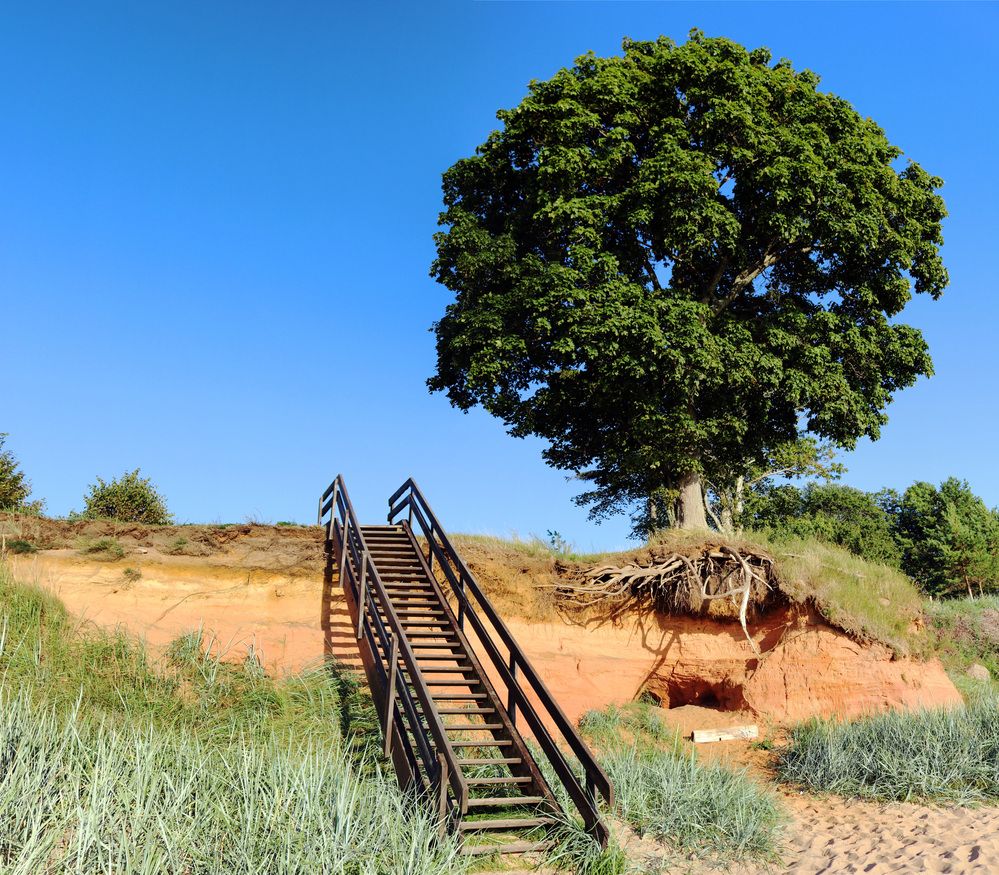 Фотография автора Lija Mežecka