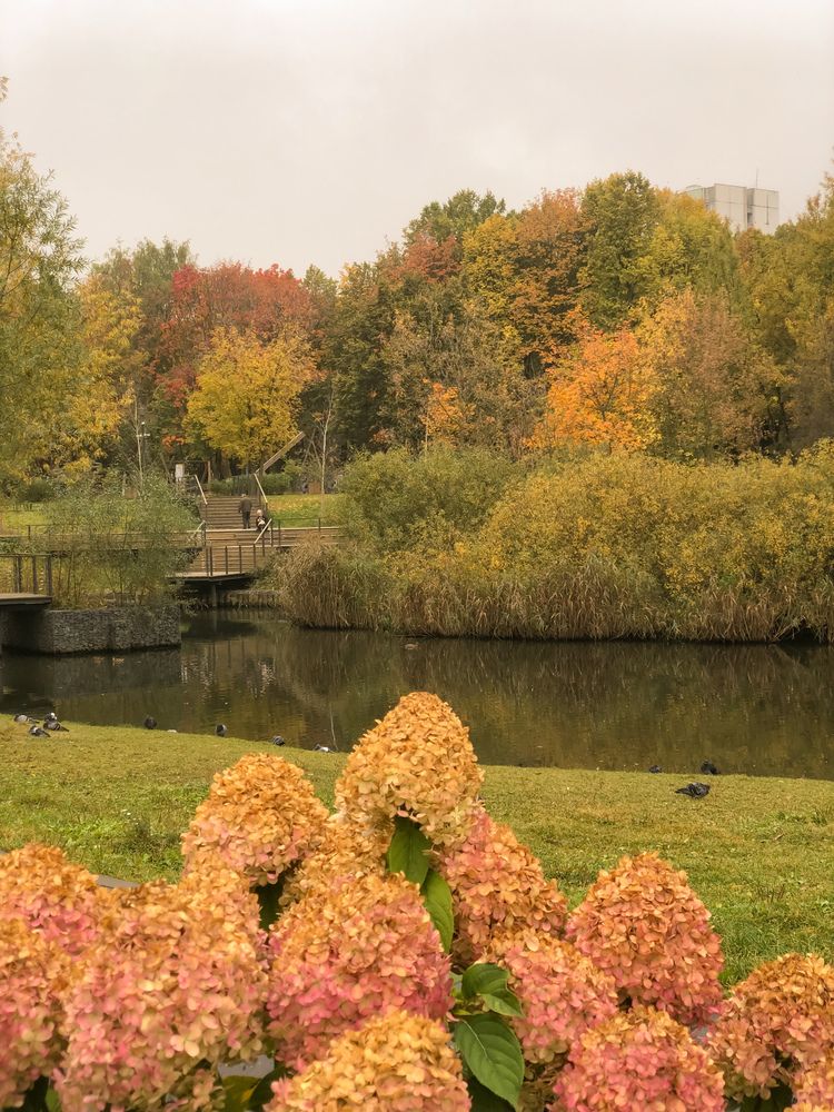 Photograph by Марина Георгиева