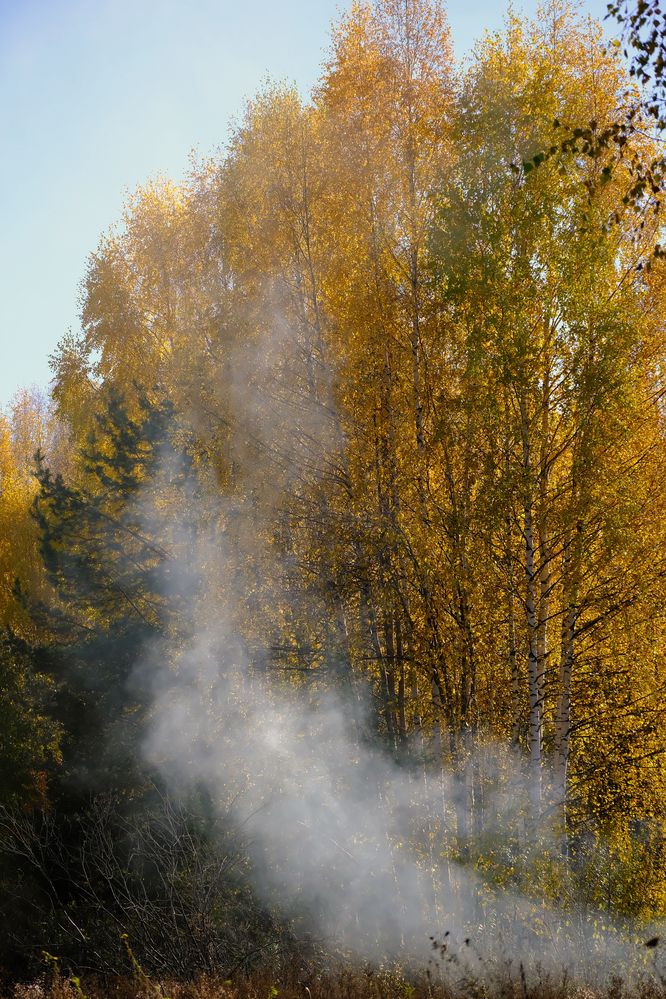 Photograph by Надежда Кангина