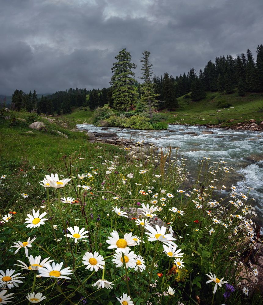 Photograph by Кетова Вера