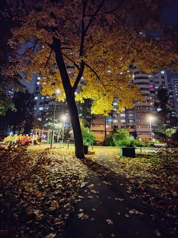 Photograph by Ольга Сошина