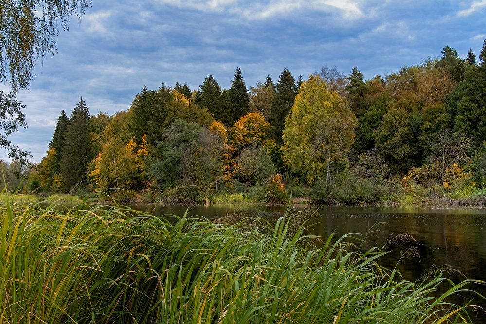 Photograph by Михаил Косолапов