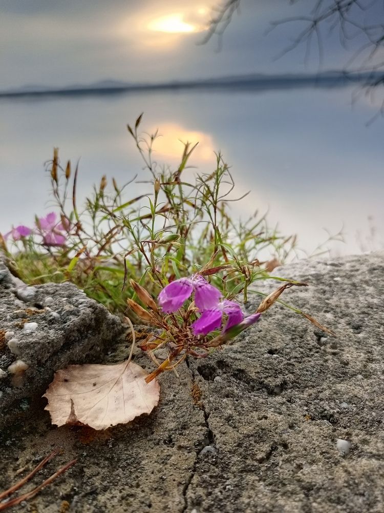 Photograph by Наталья Сырых