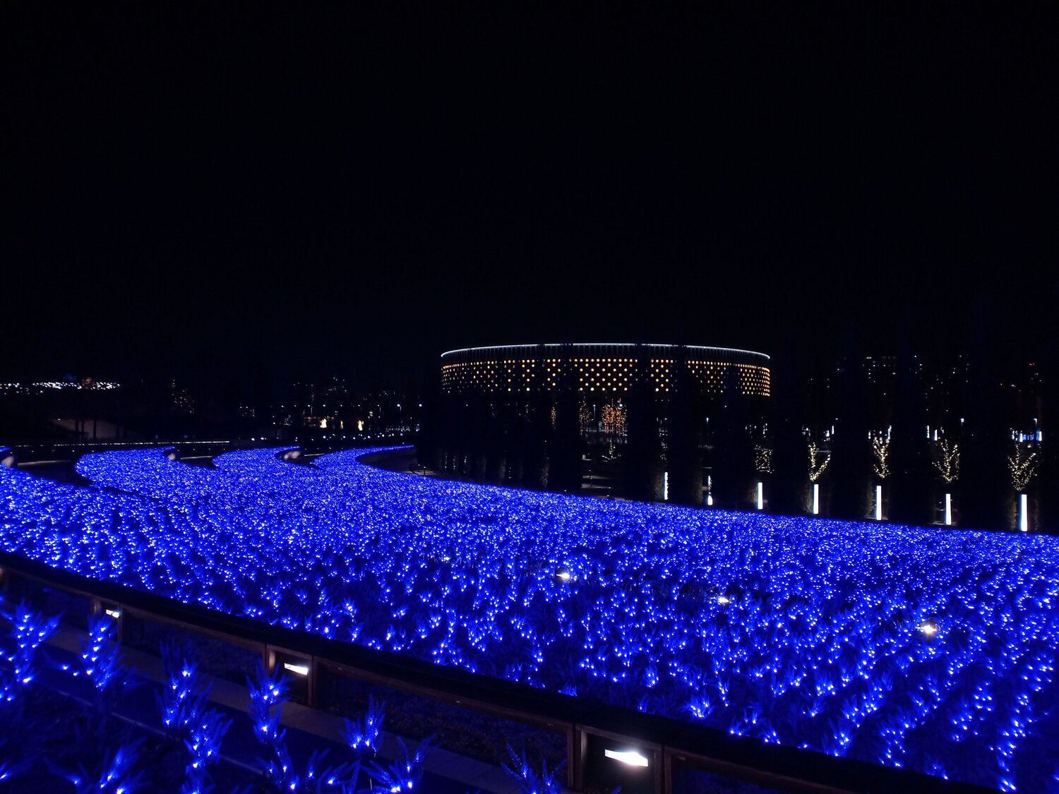 Photo #12684724