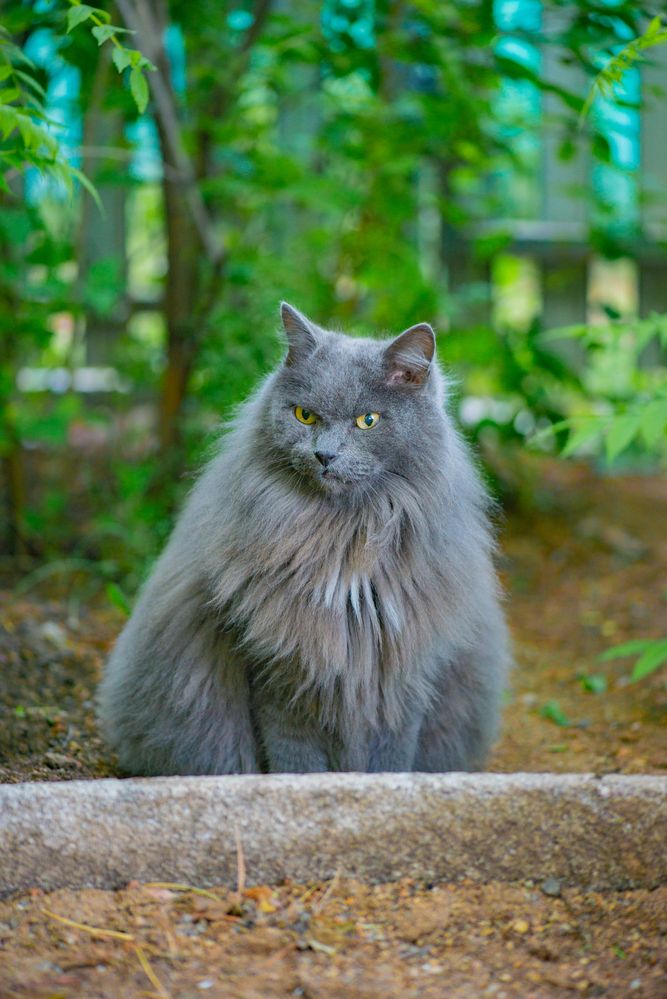 Photograph by Darina