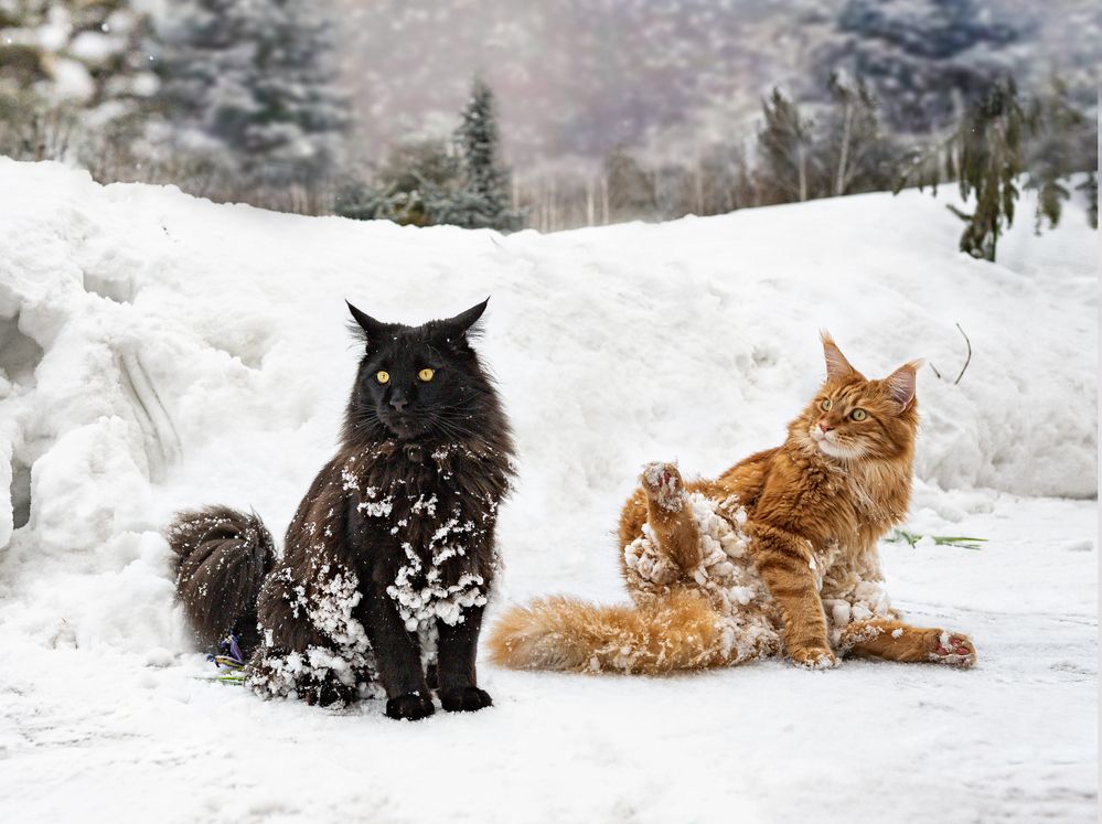 Photograph by NADEZHDA PELYMSKAIA